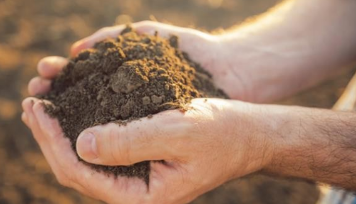 稀土礦多少錢(qián)一噸？現(xiàn)在是漲了還是降了？